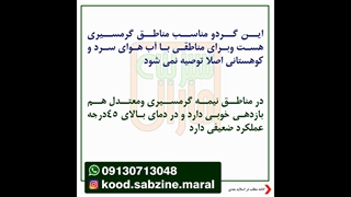 گردوی گرمسیری پکان_مشاوره ی واتساپ09130713048_سبزینه مارال یزد