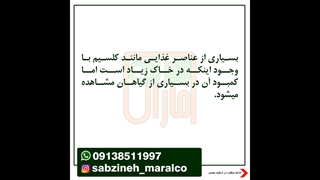 محلول پاشی عناصر غذایی_مشاوره ی واتساپ 09138511997_سبزینه مارال یزد