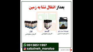 برنامه کودی بادمجان_مشاوره ی واتساپ09138511997_سبزینه مارال یزد