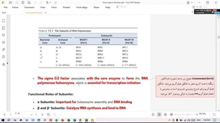 رونویسی از ژن | ویدئو دوم