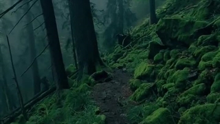 اینم عنوان ندارع!