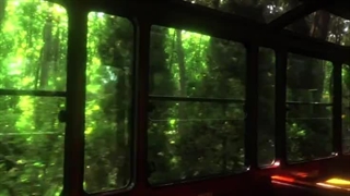 ...This is so beautiful