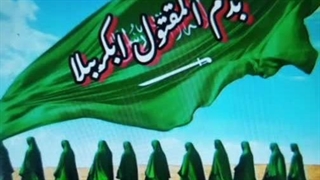 روضه علی اصعر ع چرامادرنمی خوابی.دستگیری حرمله