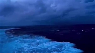 ادامه پارت هشتم رمان THE EDICTION(اعتیاد)