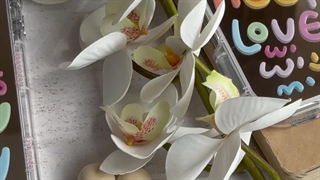 قاب گوشی آیفون هپی لاولی آینه ای