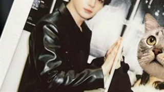 هرکسی که دیروز مینهو رو دیده از زیبایی بی اندازش حرف زده و گفته خوشگل‌ترین آدمیه که تا حالا دیدن، صورتش ظریف و چشم‌هاش درشت...