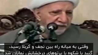 شاه_نجف_پیاده روی