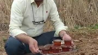 معصوم قنبری از استان زنجان شهر قیدار ،سیزده بدر 1404 مبارک