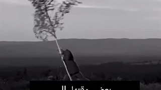 بعضی وقتها بایستی بزنی اون درختی